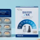 행복지킴이 | 강츄조인트 톡톡 급여 한 달 후기, 우리 강아지 관절 건강 지킴이!