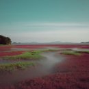 후크선장과 바다낚시 이미지