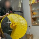 미용하개 | 도시백수 3