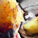 고구마PC 이미지