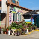 새성림식당 이미지