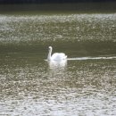 영지민박 이미지