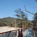 정선부동산공인중개사사무소 이미지