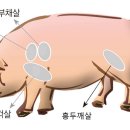 3월3일구이