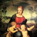 라파엘 Raffaello Sanzto di Urbino (1483 ~ 1520) 이미지