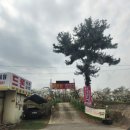 정승식당 이미지