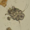 키다리동물병원 이미지