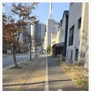 러비도기 이미지