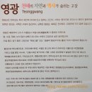 야생화자수 | 전남 영광: 제18회 영광 불갑산 상사화축제