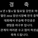 센텀중학교 이미지