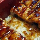 맛장어먹는날 이미지