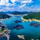 군서 백리벚꽃길 | 합천호와 백리 벚꽃길 완벽 가이드 2026-경남 최고의 봄 드라이브 명소 🌸