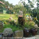 볼소리 펜션 이미지