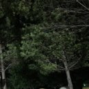 가곡동굴팬션 이미지