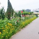 하금농장 이미지