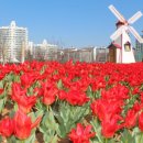 단원구청 이미지