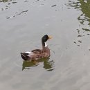 빵을만드는 사람들 이미지