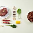 수제산업동물병원 이미지