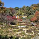 아차산숲속도서관 (서울 광진구) 이미지