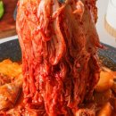핫도리탕