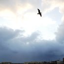 부두식당 이미지