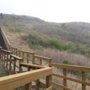 팔공산 하늘정원 이미지