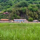 남해 돈섬 이미지