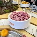 전원말6길 22 | 홍대 훠궈 무한리필 기린1인용회전훠궈 주말 오픈런 혼밥 TIP