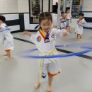 조원태권도장 이미지