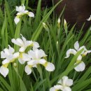 라이브 펜션 이미지