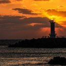 구좌 해안도로 이미지