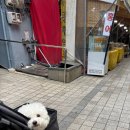 다모아칼국수 이미지