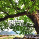 백곡농장 | 11월 대구근교 밀양가볼만한 곳 금시당백곡재