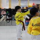 품태권도장 이미지