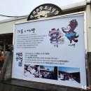 서귀포오일시장-2 이미지