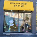 올라펫살롱 이미지