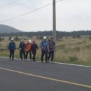 표선공설묘지 이미지