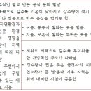 Ⅳ. 몬순 아시아와 오세아니아 - 1. 자연환경에 적응한 생활 모습 이미지