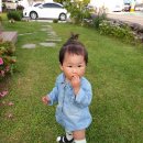 쉬리목장 이미지