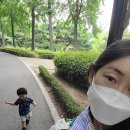 한남 유아숲체험원 이미지