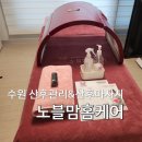 수원산후마사지 추천 산후부종 산후복부관리 노블맘홈케어 솔직 후기
