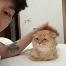 코드 쿤스트 카카오 검색결과