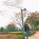 유리 - 평창군 진부중앙로 64-2 | 유리