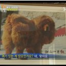 정동철농장 네이버블로그