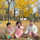 아이와 함께 다녀온 평택 숲체험 학농원!(아이고고앱 내돈내산)