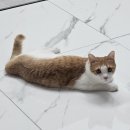 DMZ 오픈 페스티벌(오픈콘서트1) | 2025 음악페스티벌&amp;콘서트 연말결산🎵