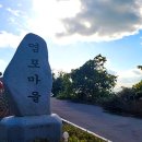 터골옆 이미지