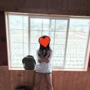 월출산방 이미지