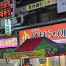 히트 관광나이트 이미지