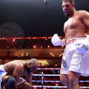 월드복싱 이미지